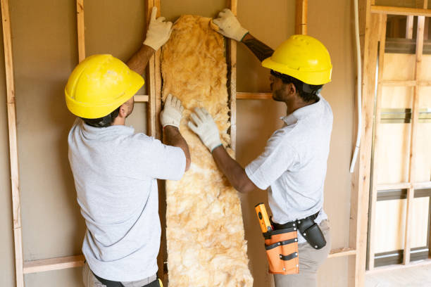 Best Blown-in Insulation  in Inglis, FL