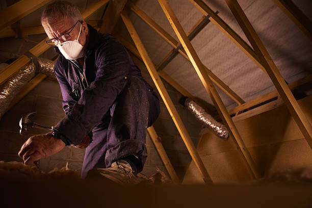 Insulation Replacement Services in Inglis, FL